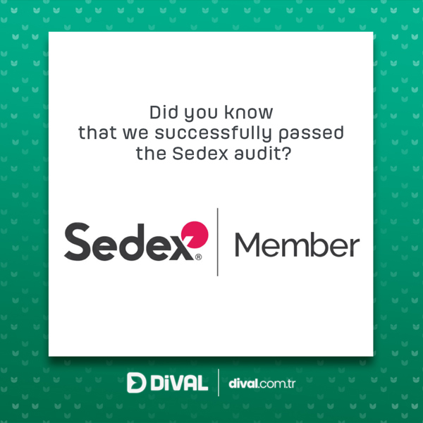 Dival Réussit l’Audit SEDEX